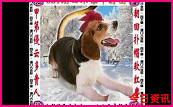 贵阳内科医院哪家最好